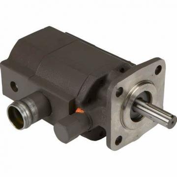 Blince PV2r Series Hydraulic Vane Pump (PV2R1/PV2R2/PV2R3)