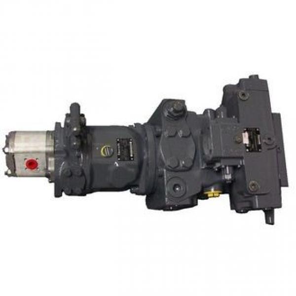 America parker P30 31 50 75 76 hydraulic oil rotary gear pump for dump truck lifted casappa hydraulic pump #1 image