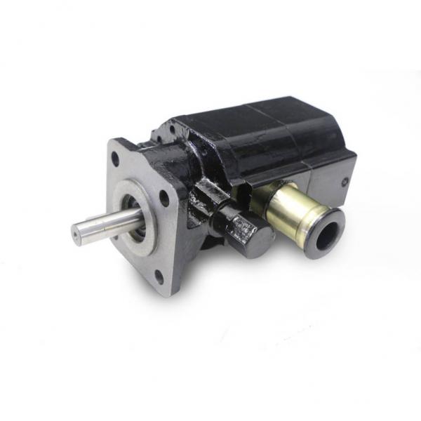 Low Noise Type Hydraulic Pump (PV2r series vane pump) #1 image