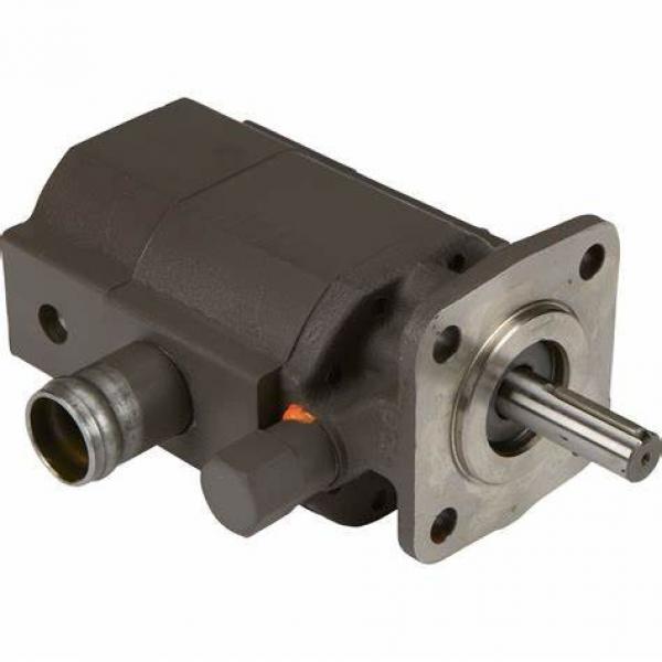 Yuken Hydraulic Piston Pump A37-F-R-07-K32 #1 image